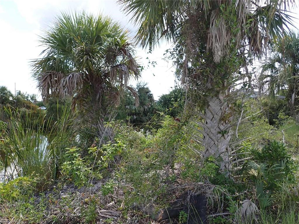 View of undeveloped land