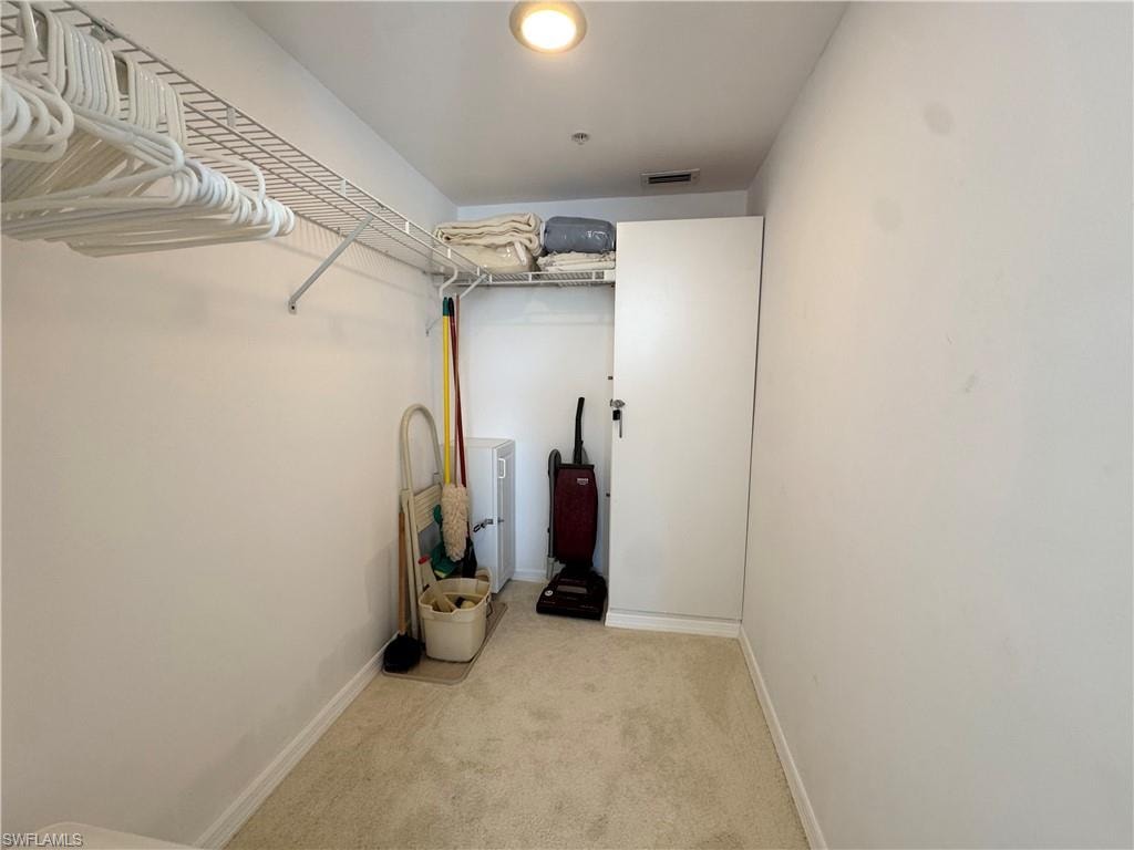 Spacious closet featuring light colored carpet