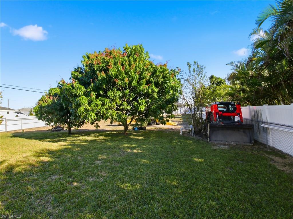 View of yard & space and fruit trees