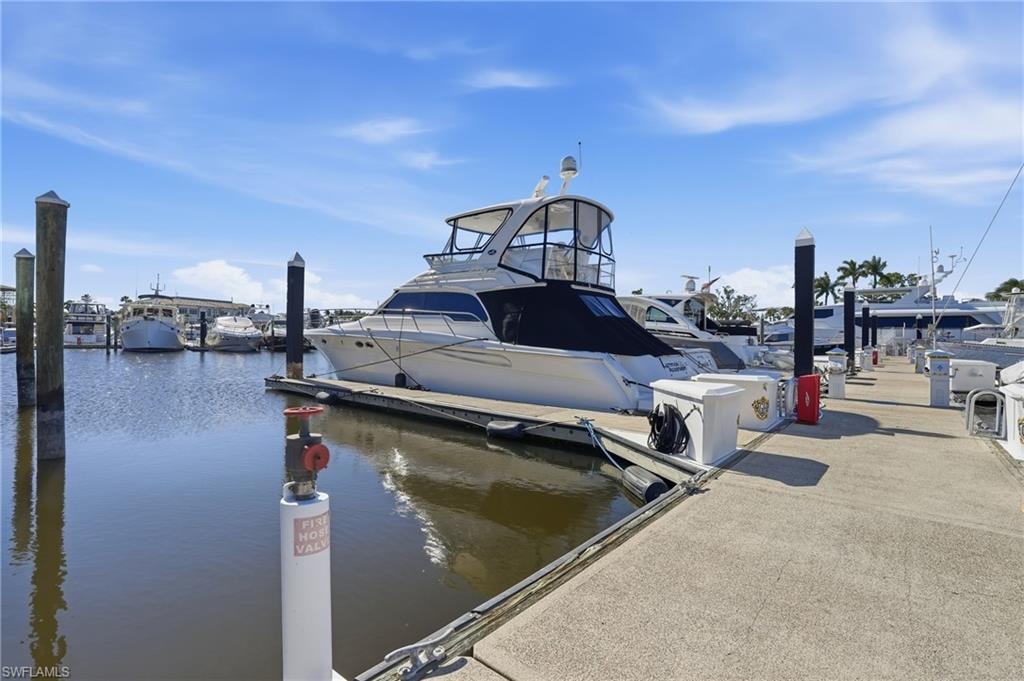 Dock with a water view