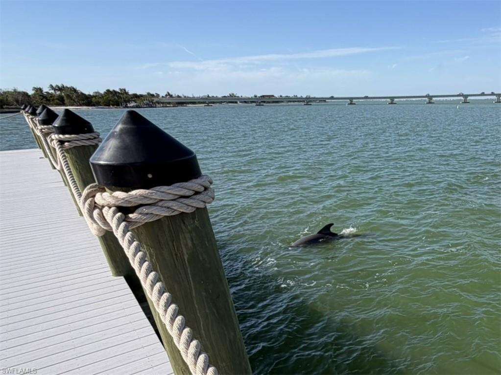 Dock with a water view