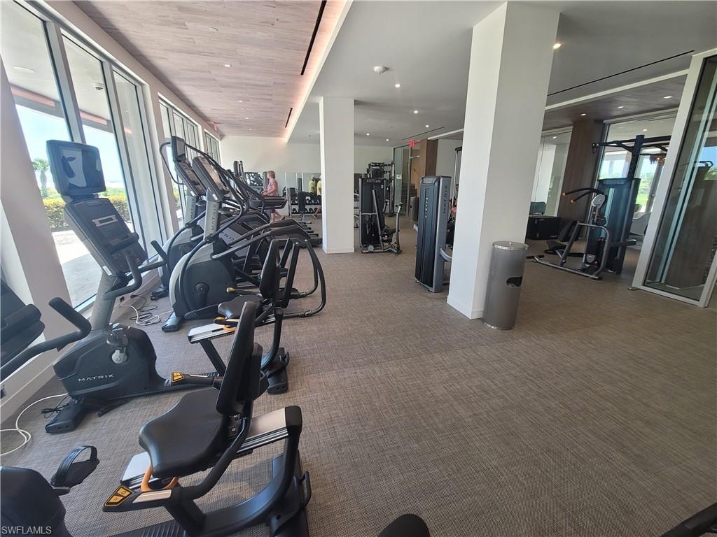 Exercise room featuring carpet floors and a healthy amount of sunlight