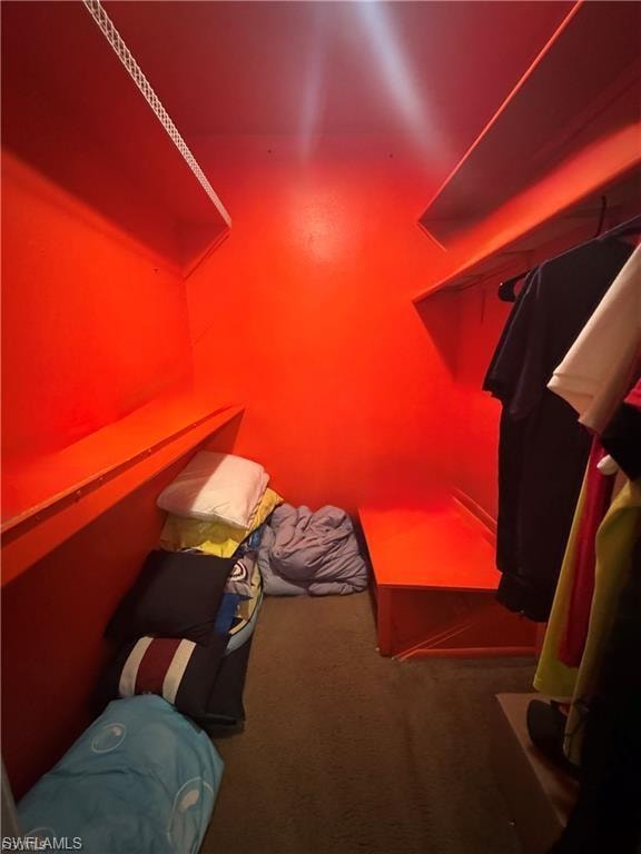 Spacious closet featuring dark colored carpet