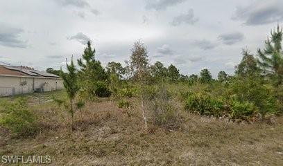View of nature