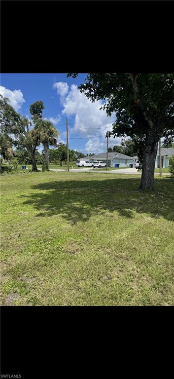 View of grassy yard