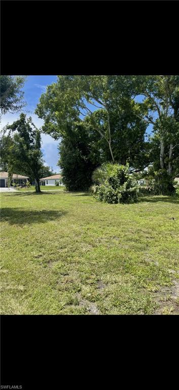 View of green lawn