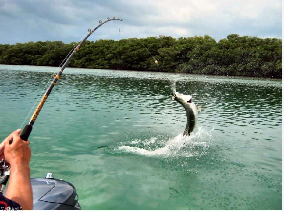 Fishing in the Gulf of Mexico