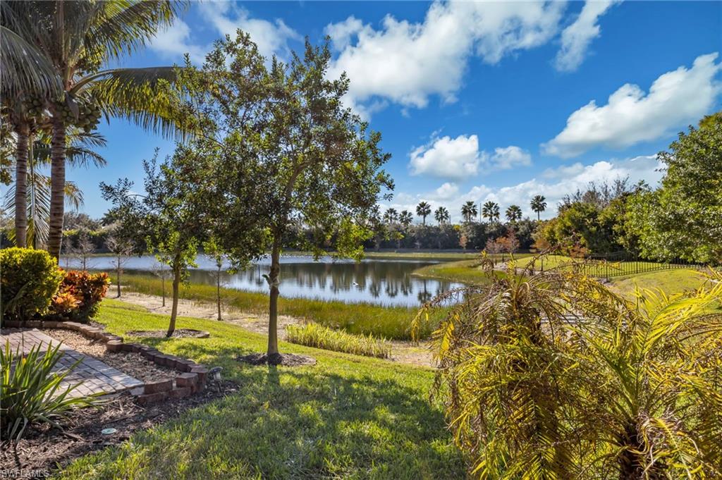 13315 Silktail DR photo 25