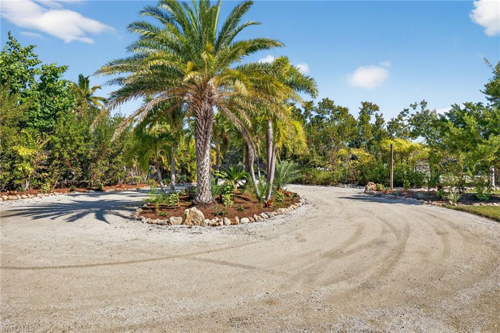 Large Circular Driveway