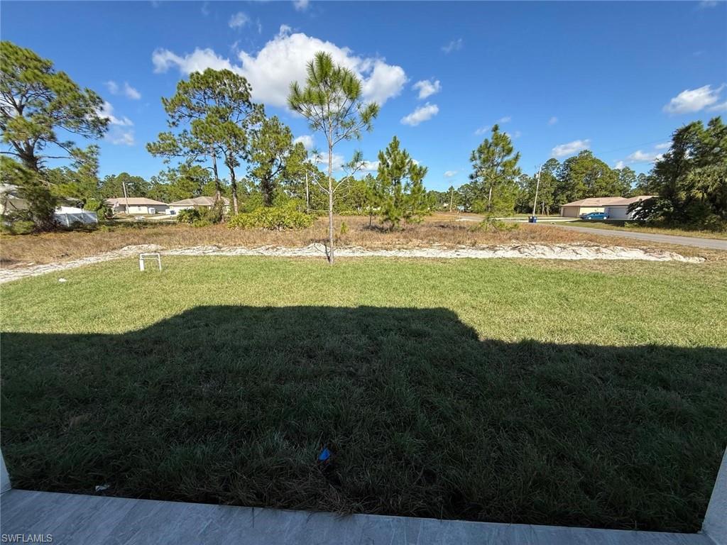 View of grassy yard
