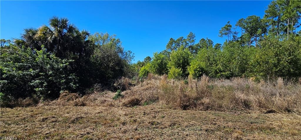 View of undeveloped land