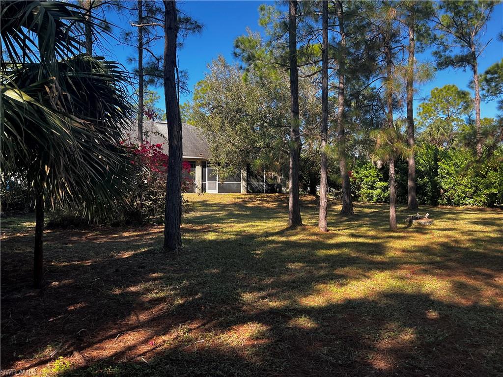 Expansive yard