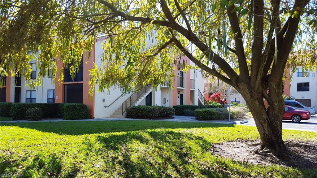 View of building where condo is located.  Open space, big beautiful shade tree.