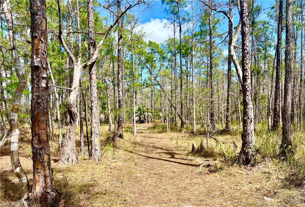 Nature trails