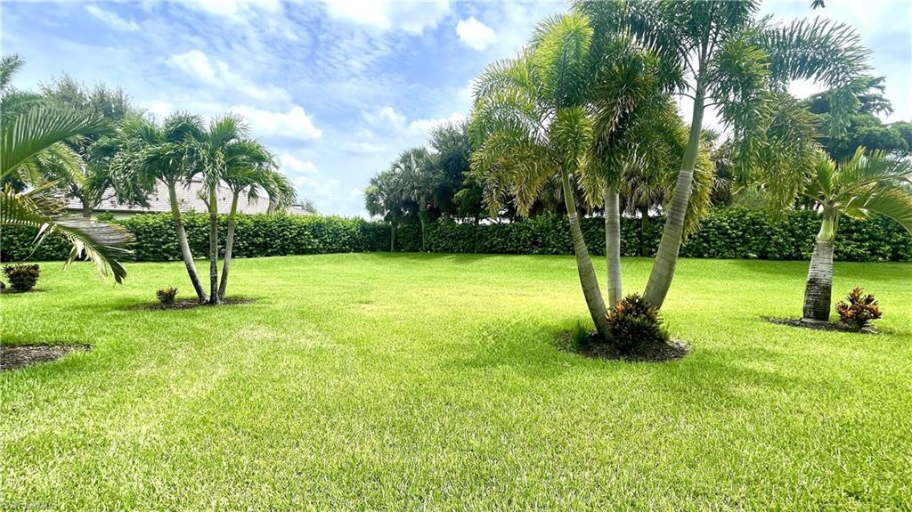 Direct Rear Expansive Backyard View for a Park-Like Setting