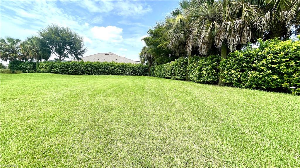 Expansive Green View