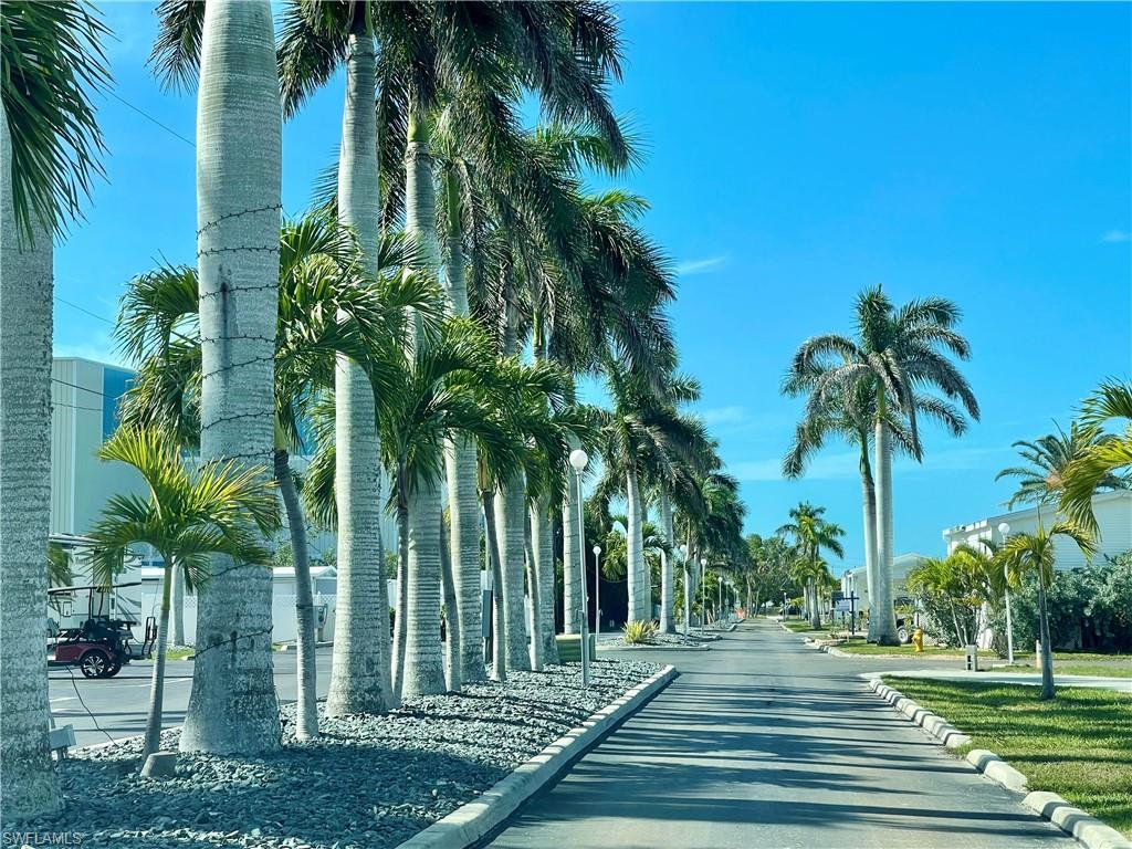 View of road featuring curbs and street lighting