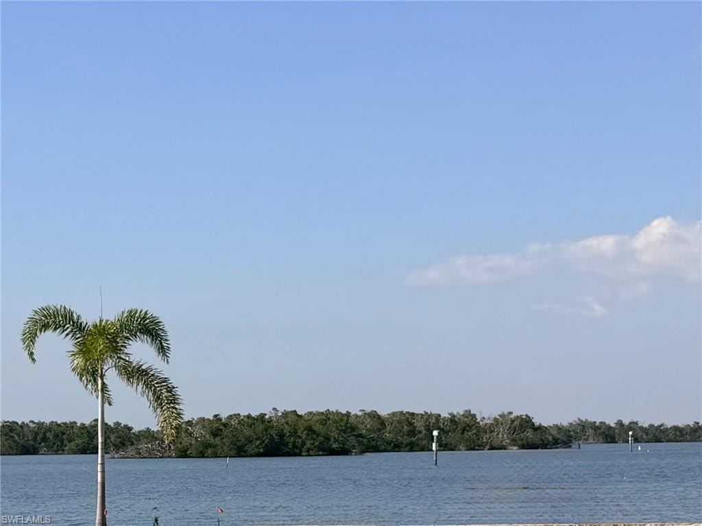 Water view with a distant mangrove area