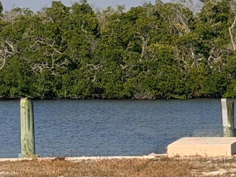 Water & Mangrove view