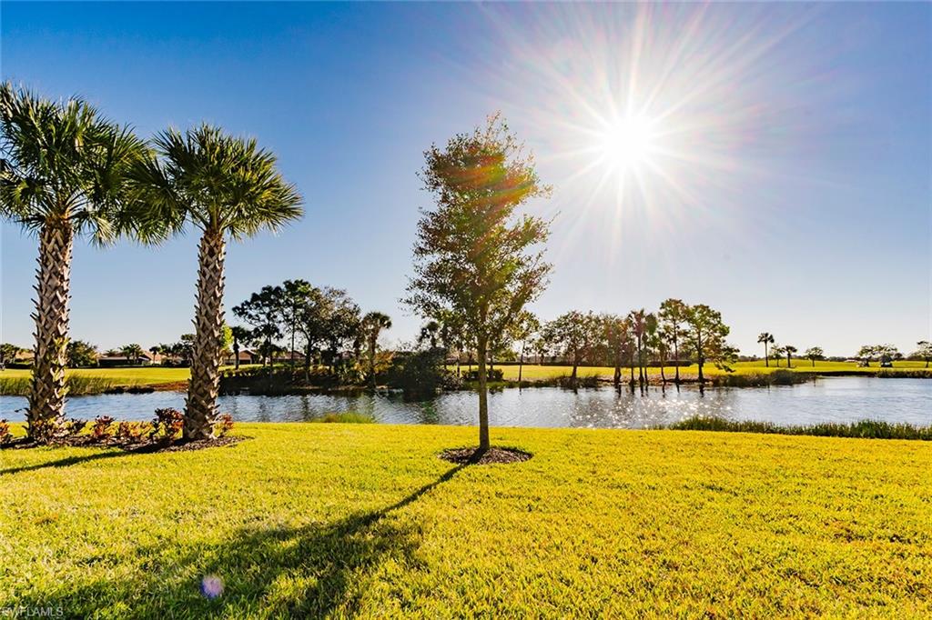 5988 Mayflower WAY photo 20