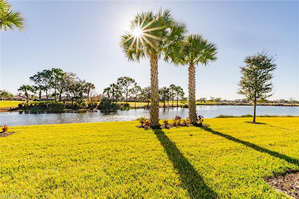 5988 Mayflower WAY photo 19