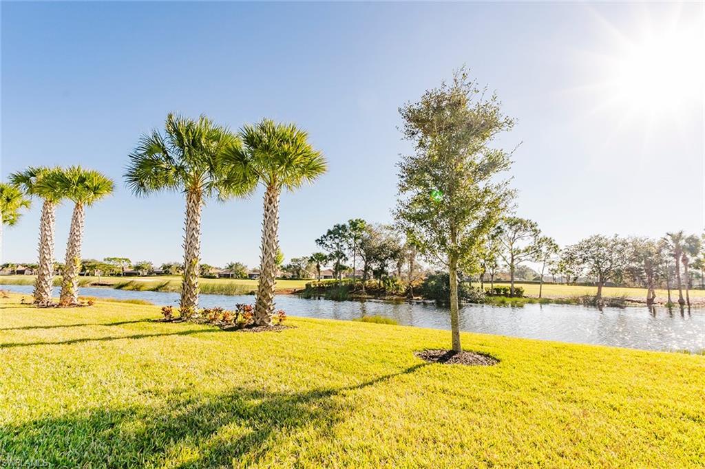 5988 Mayflower WAY photo 21