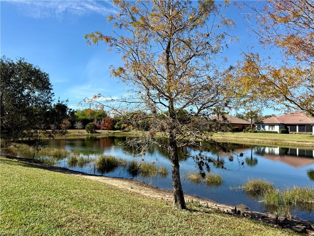 Water view