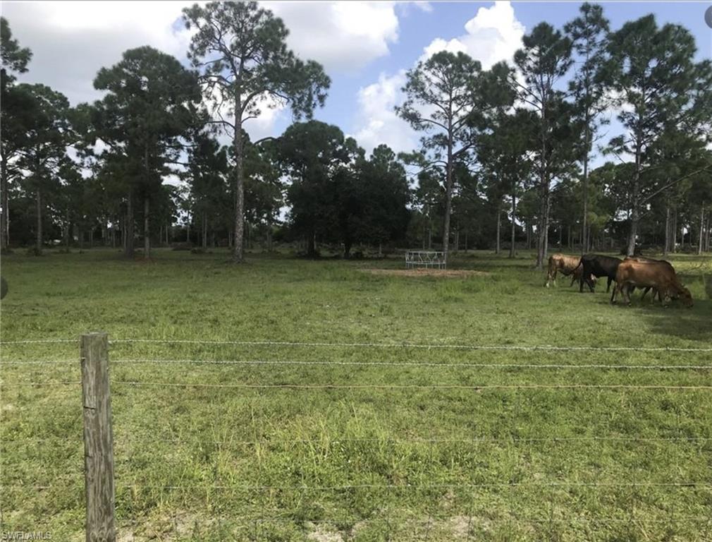 View of grassy yard with a rural view