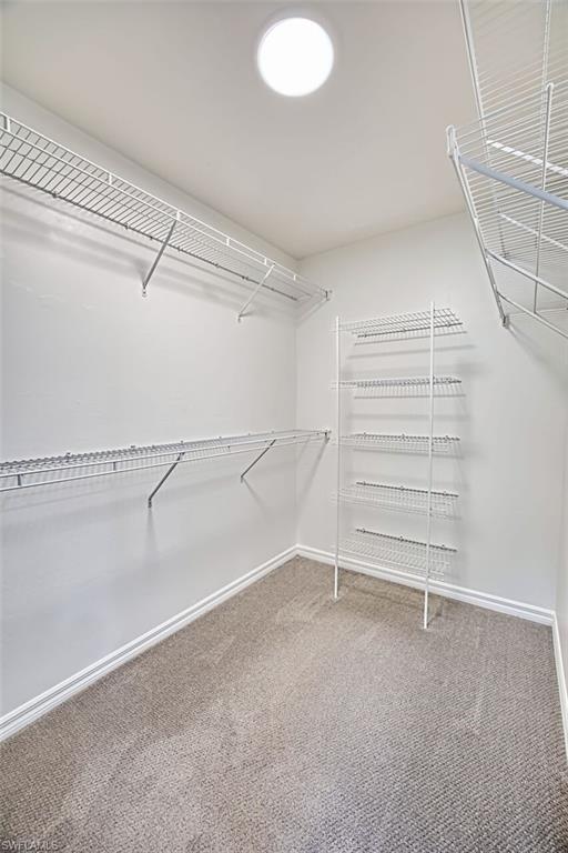 Walk in closet with light colored carpet