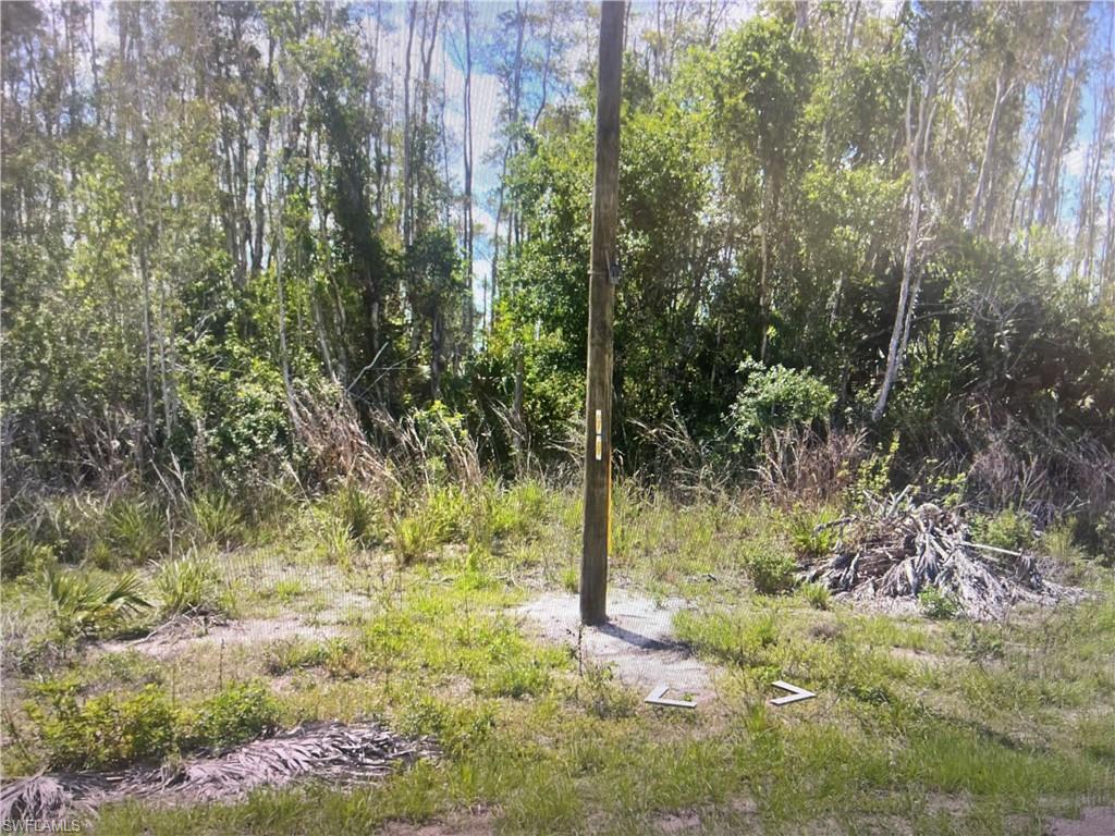 View of undeveloped land