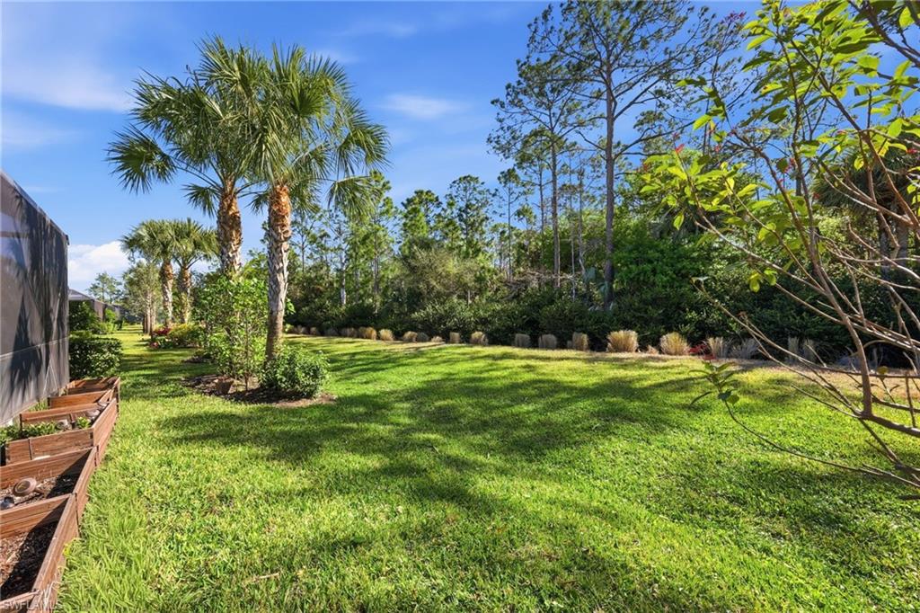 View of grassy yard