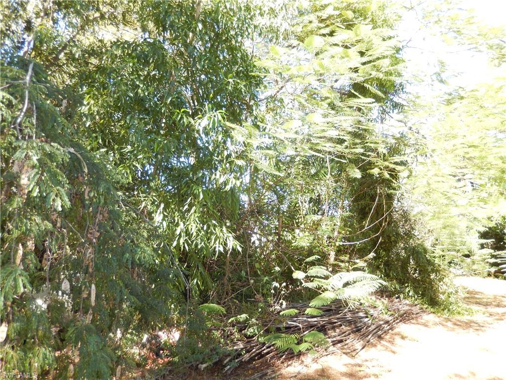 222 SE 46th TER photo 18