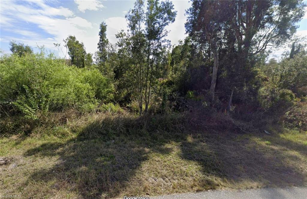View of undeveloped land