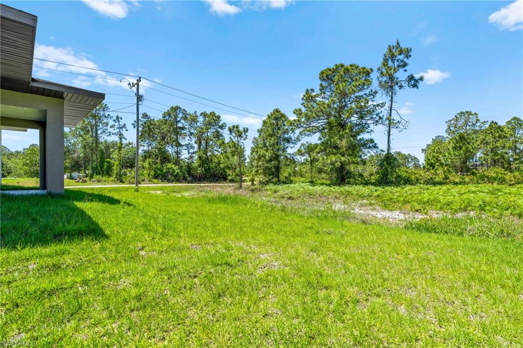 View of grassy yard