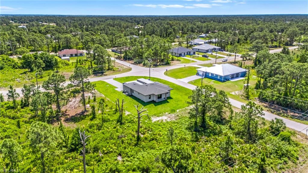 Aerial perspective of suburban area with a forest