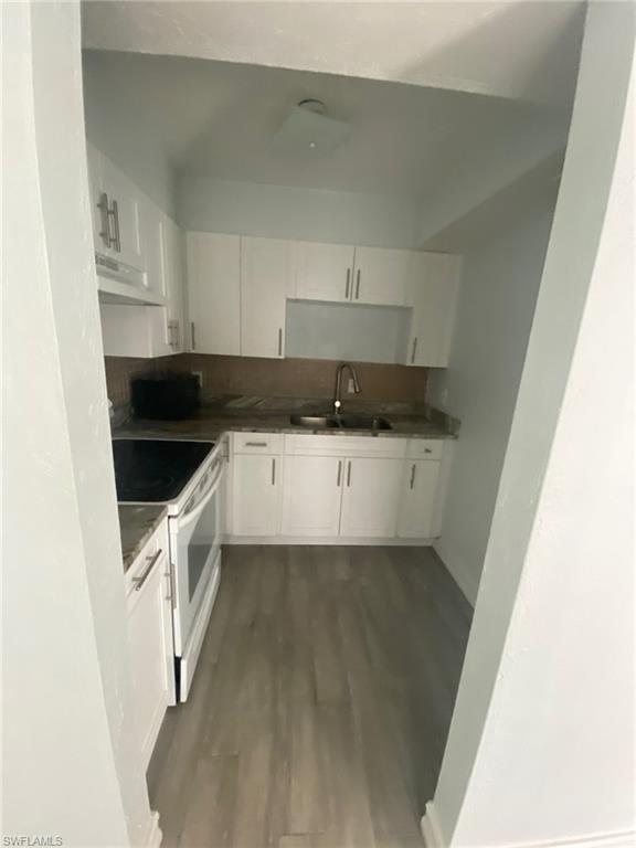 Kitchen featuring white cabinetry, white electric stove, dark wood-type flooring, and under cabinet range hood