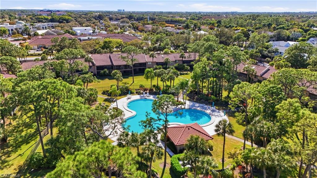 Florida Flora and Fauna, the tropical SW Florida lifestyle that you've been waiting for.