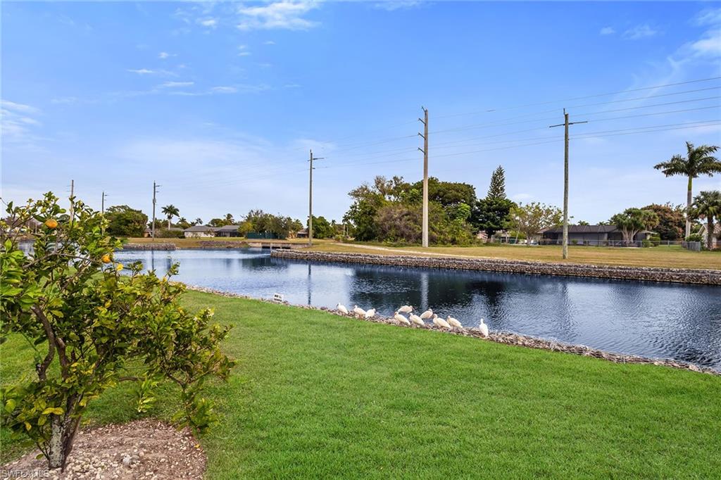 200 Valley Stream DR 3B photo 38