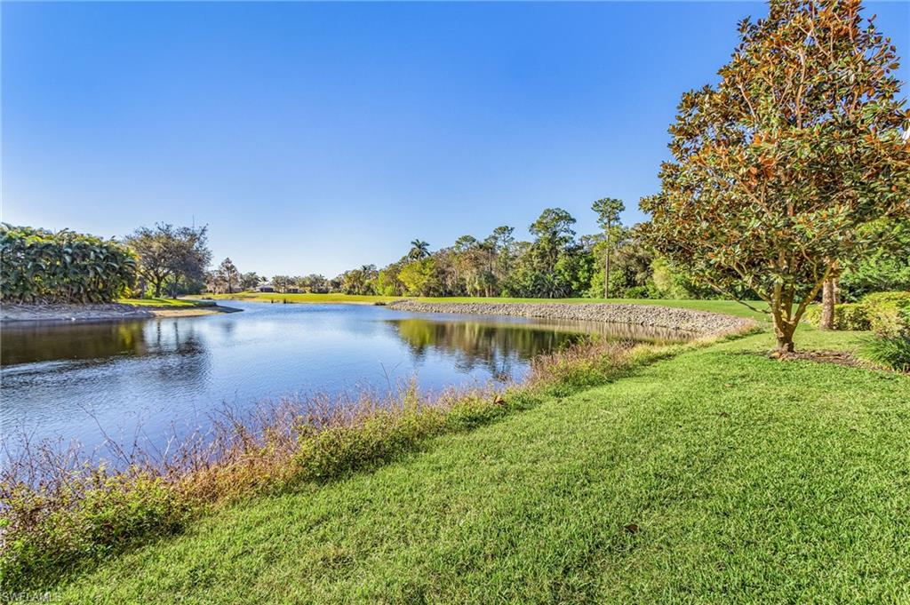 9305 La Playa CT 1613 photo 16