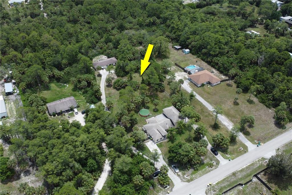 Expansive undeveloped lot featuring mature trees and lush vegetation