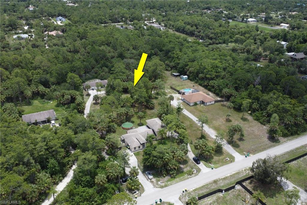 Expansive wooded lot with mature trees
