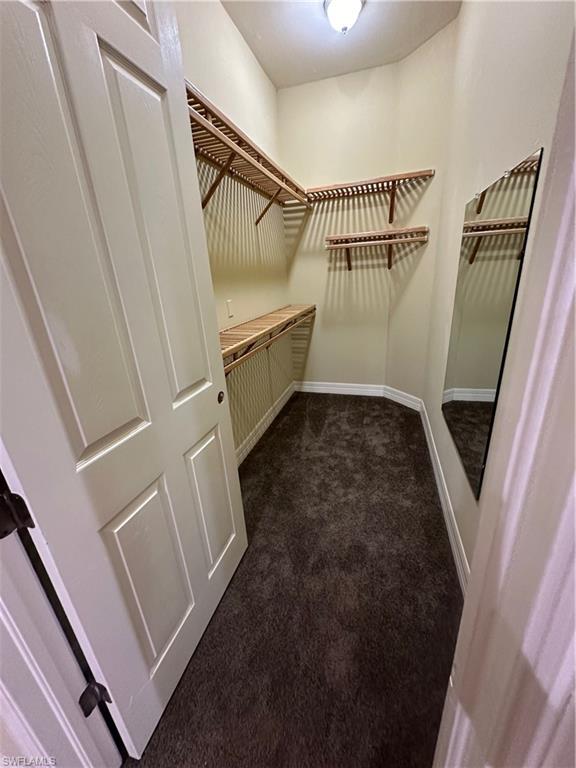 Walk-in closet featuring extensive built-in wood shelving, a wall-mounted mirror, and dark-toned carpeting