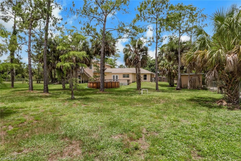 Expansive grass area featuring a variety of mature trees and a rear house exterior with multiple windows