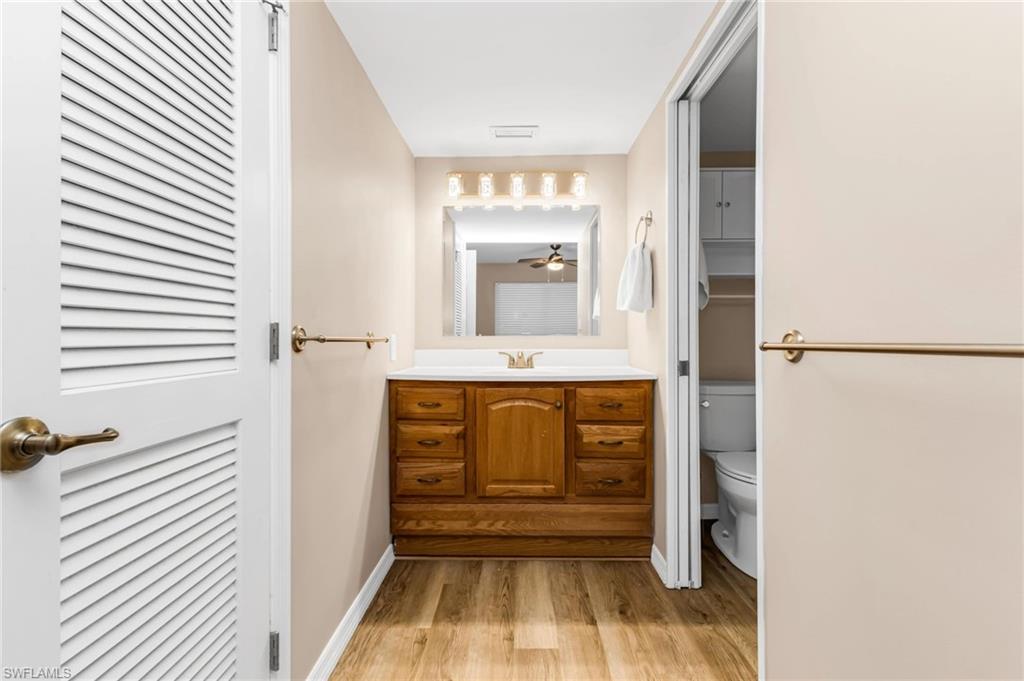 Bathroom featuring vanity, light wood finished floors, and a closet