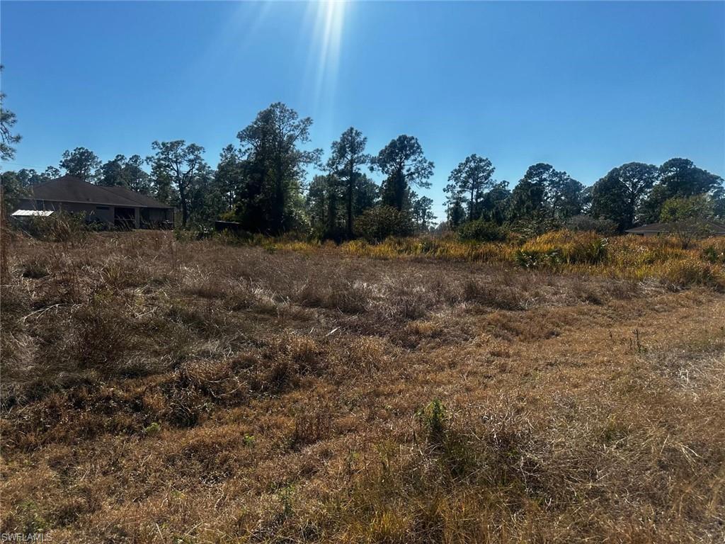 View of wooded area with a view of rural / pastoral area