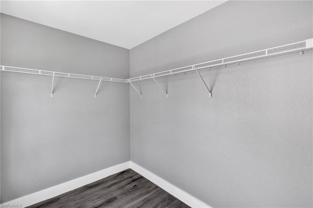 Walk in closet with dark wood-type flooring