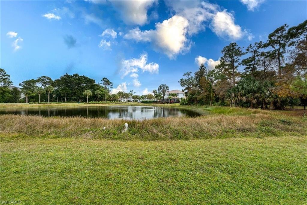 Backyard with Lake View