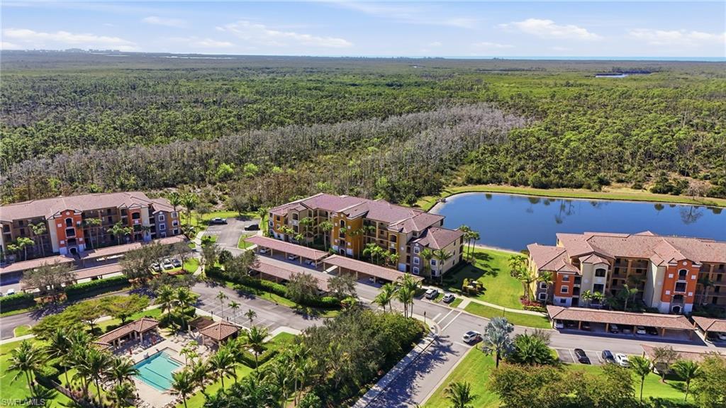 Drone / aerial view of a forest and a large body of water