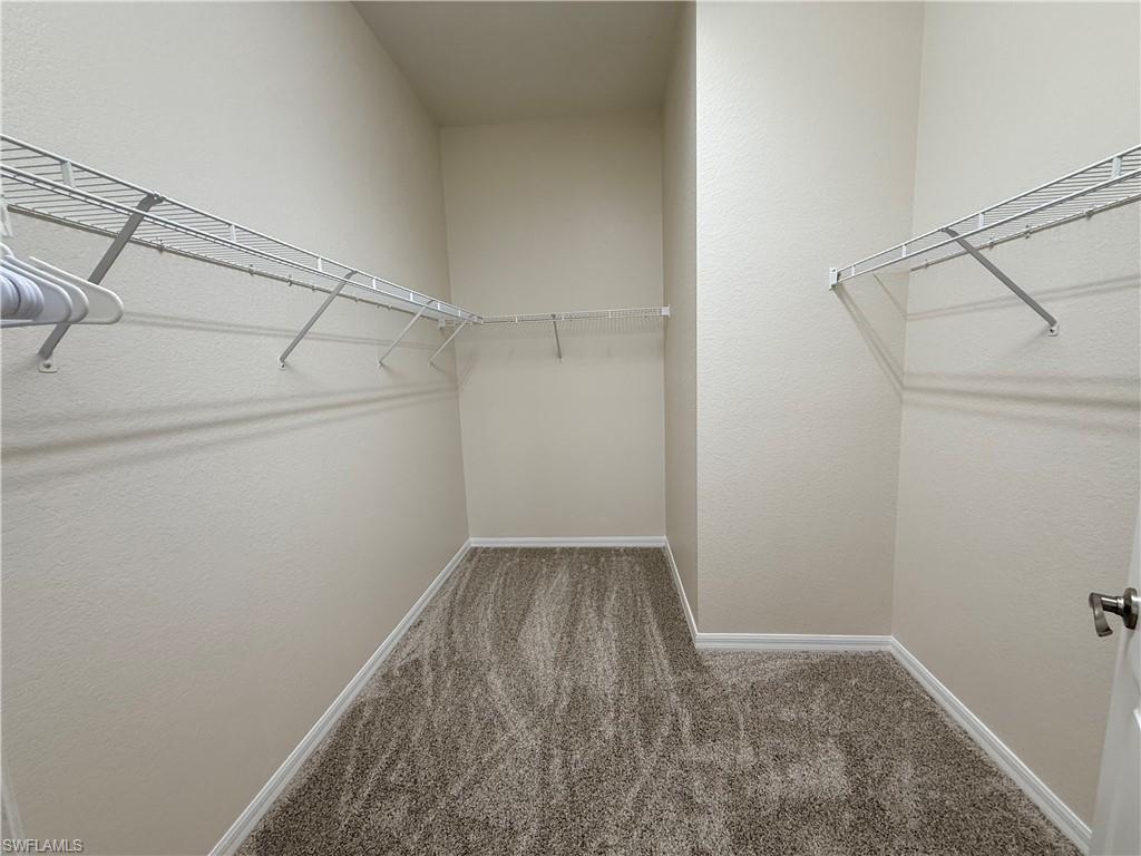 Oversized primary closet