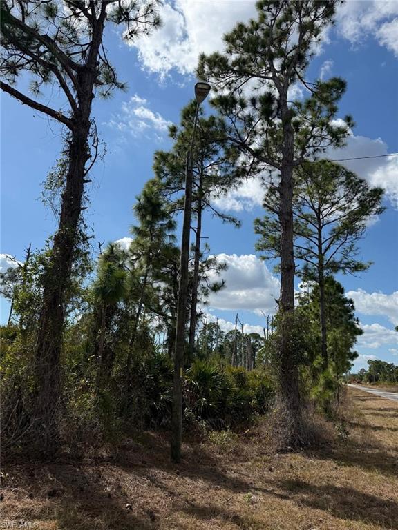 View of undeveloped land